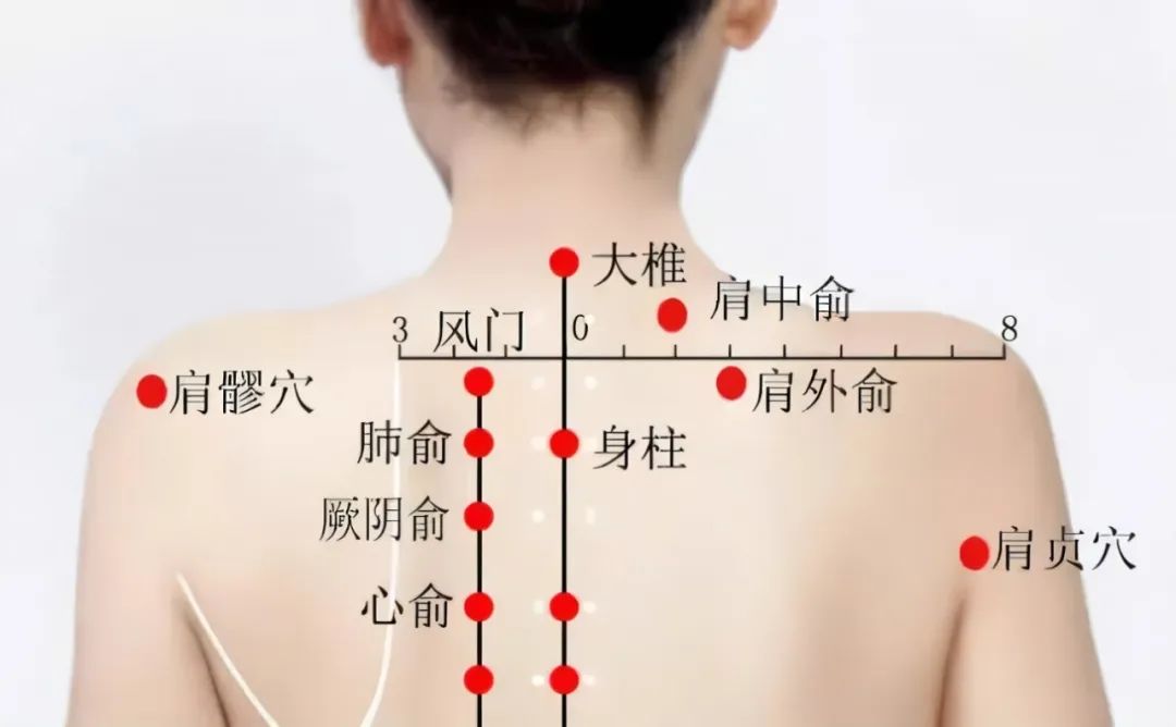 每天学中医——肩髎穴