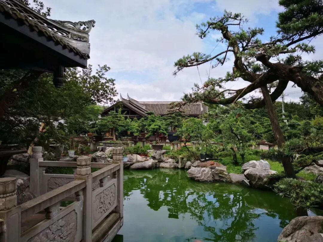 微信图片_20190722132536.jpg