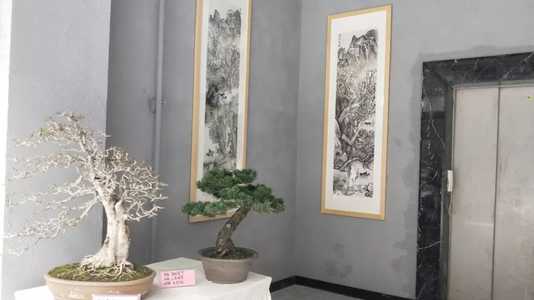 微信图片_20190722102907.jpg