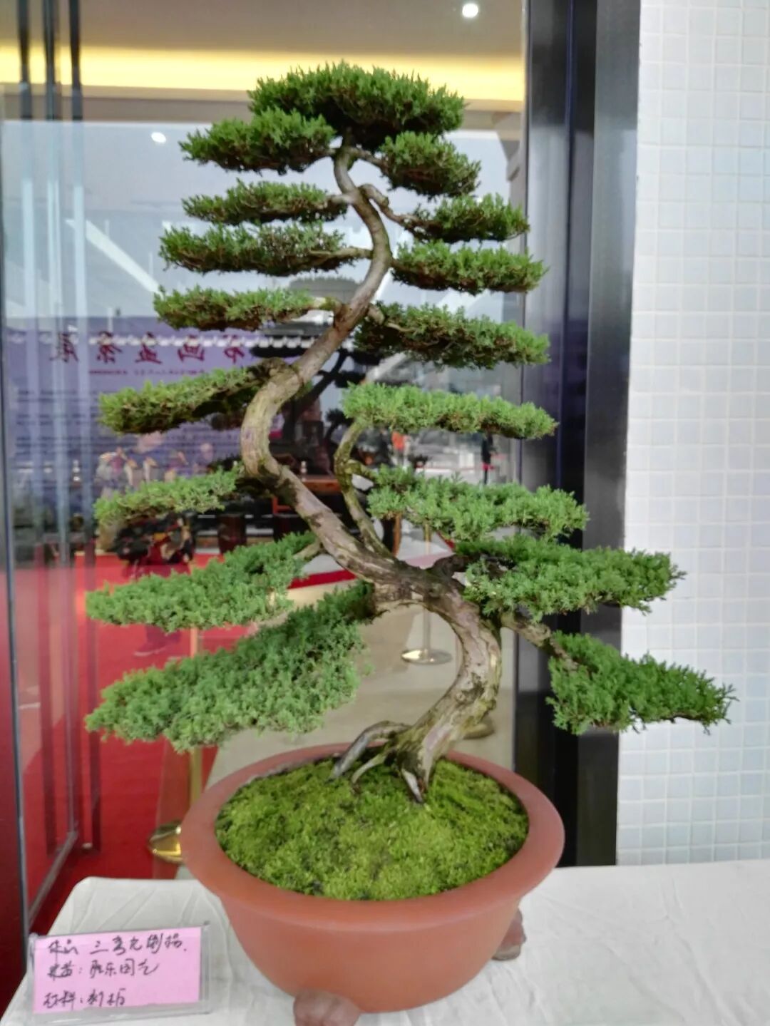 微信图片_20190722102926.jpg