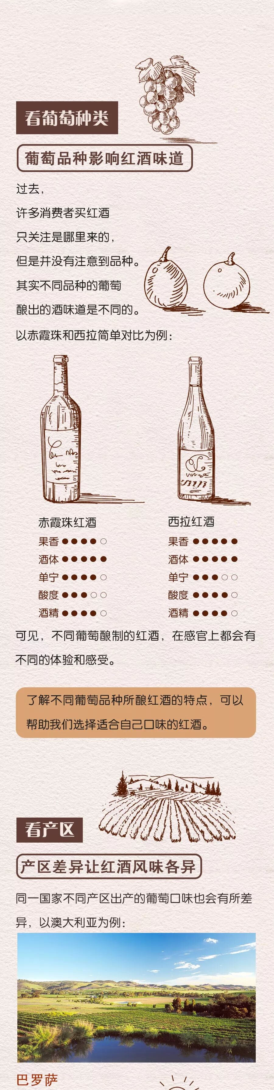 新手如何挑选一瓶合适自己的红酒?