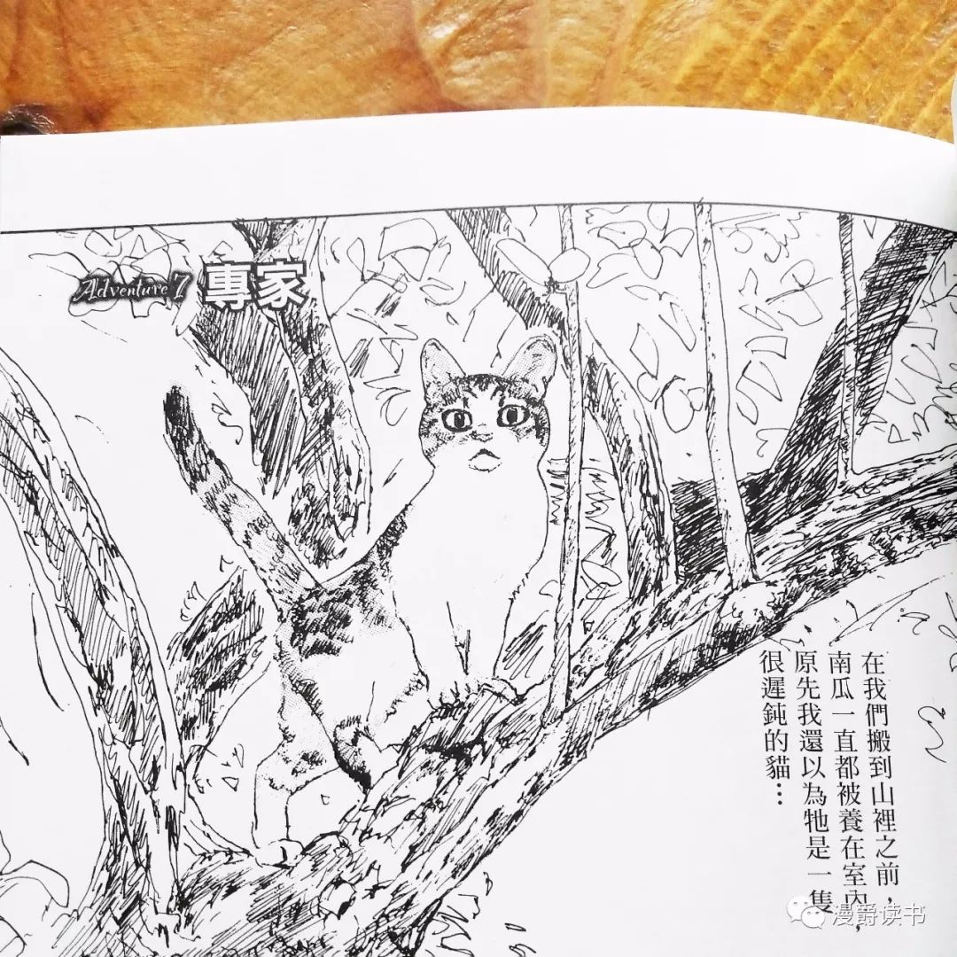 海兽之子 作者五十岚大介之作 南瓜與我的野放生活 猫与漫画家五十岚大介的乡野同栖日记 漫爵读书