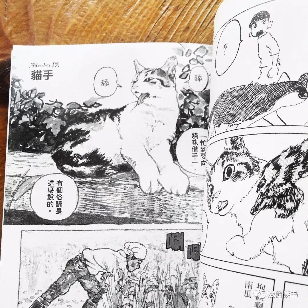 海兽之子 作者五十岚大介之作 南瓜與我的野放生活 猫与漫画家五十岚大介的乡野同栖日记 漫爵读书