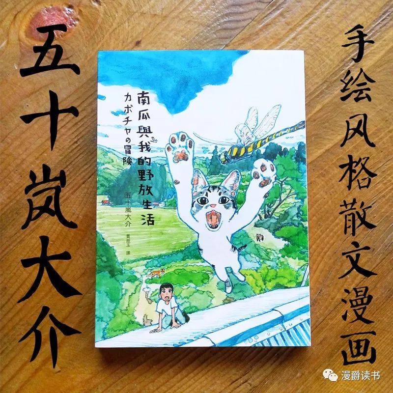 到货喽 海兽之子 作者五十岚大介之作 南瓜與我的野放生活 猫与漫画家五十岚大介的乡野同栖日记