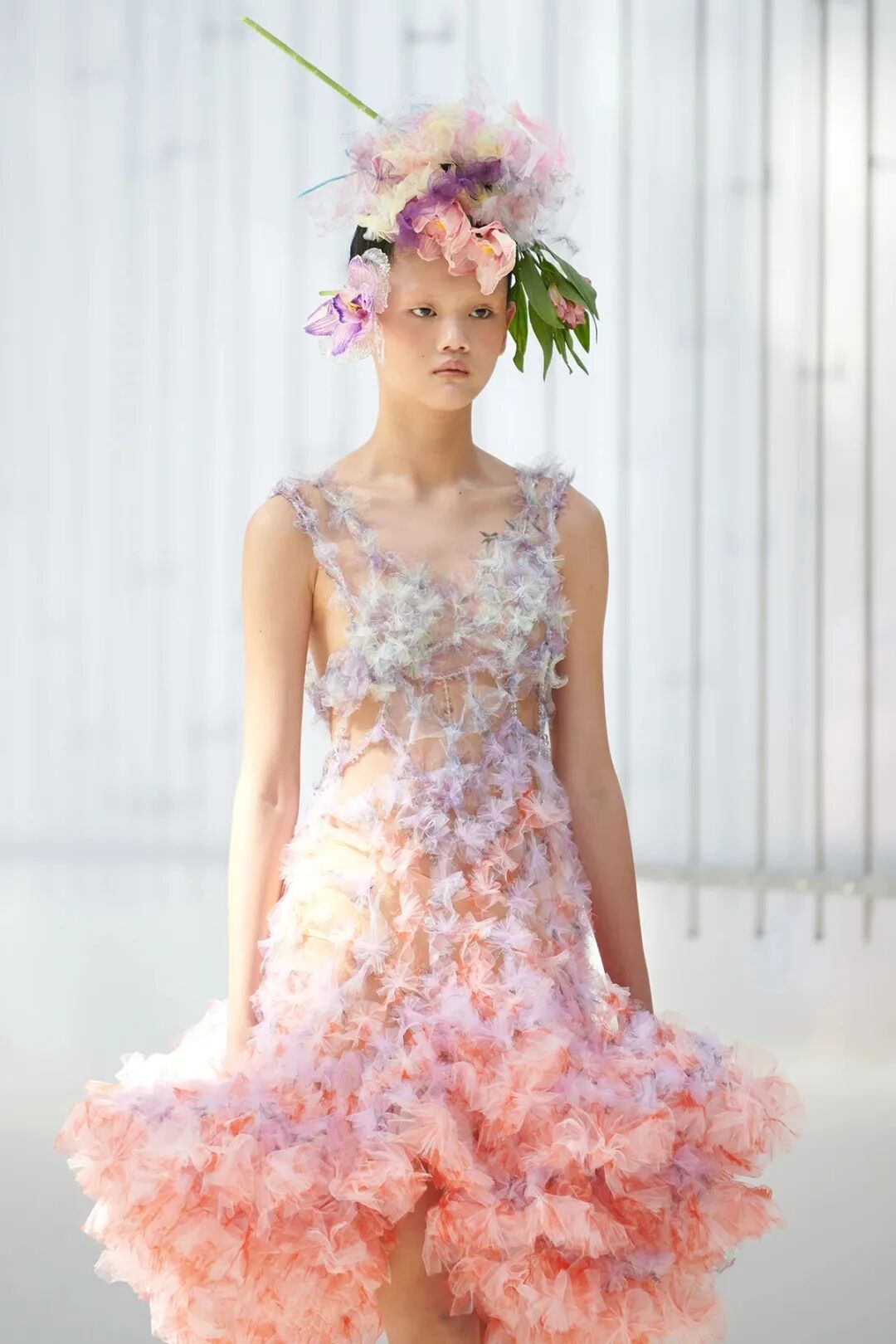 追寻内心的自由susanfang的梦幻自然美学