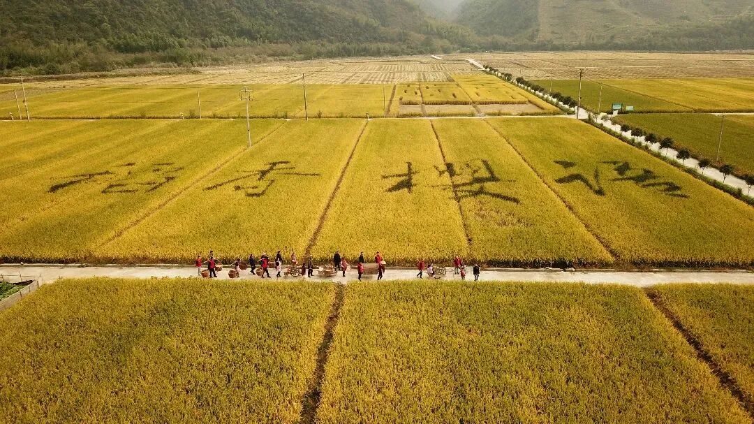 莪山畲乡棍凳,五步拳,七步拳,大回拐棍等民间武术,舞蹈,民歌极具民族