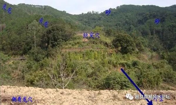 谁的坟墓风水对你影响最大?