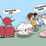 健康科普—布病是如何传播的