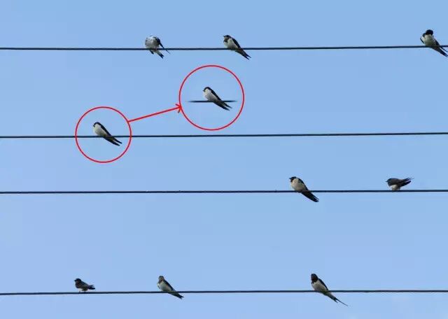 ps仿制图章工具怎么用_ps中仿制图章工具_ps仿制图章工具作用