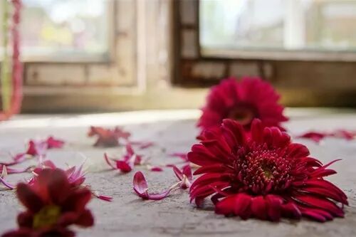 微信圖片_20230412153852