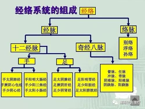 针灸的基本理论