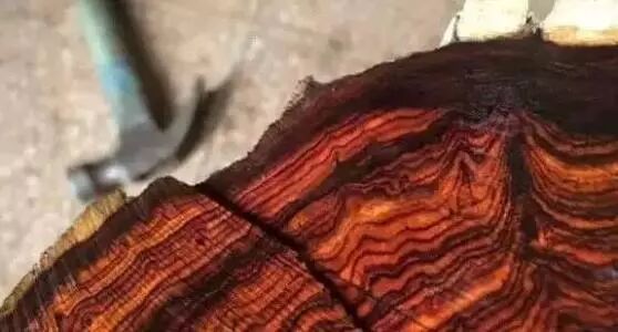 红木好料越来越少，要买趁早下手！！