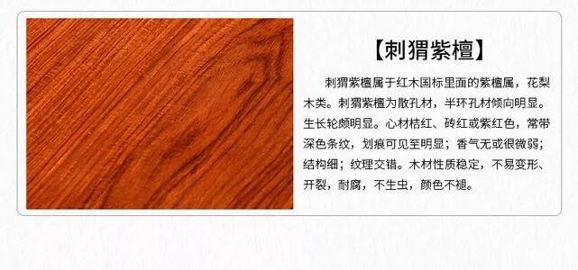 不容易啊！濒危刺猬紫檀持续禁贸……