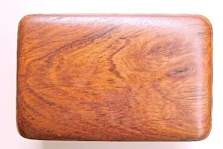 红木知识丨人工林能否替代野生林？