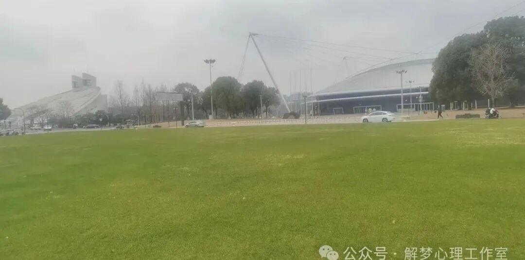 斑秃，鬼剃头，有一位中成药治疗效果好：斑秃丸