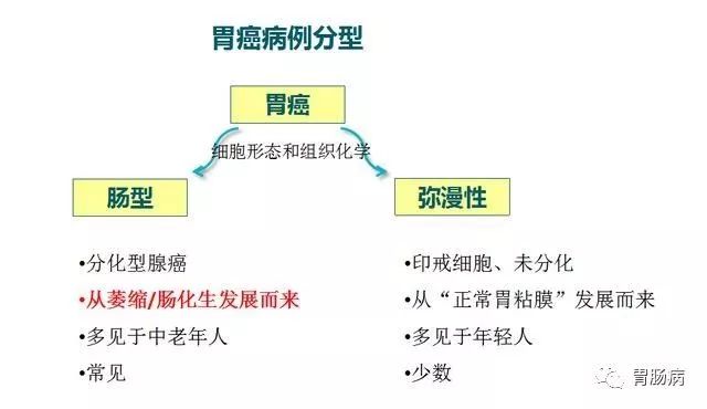 抽血真能篩查胃癌嗎？ 健康 第4張