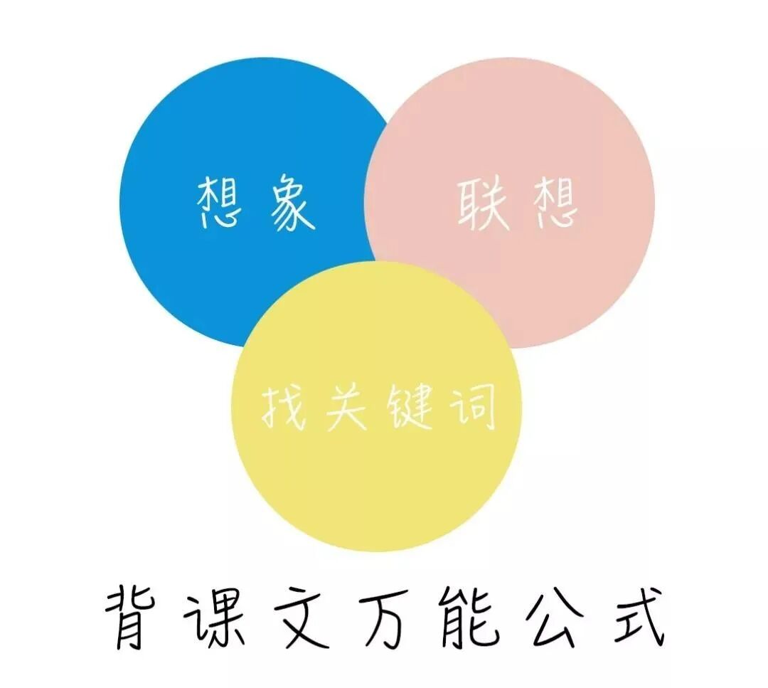 记忆大师——如何利用记忆法快速牢固地背诵课文？