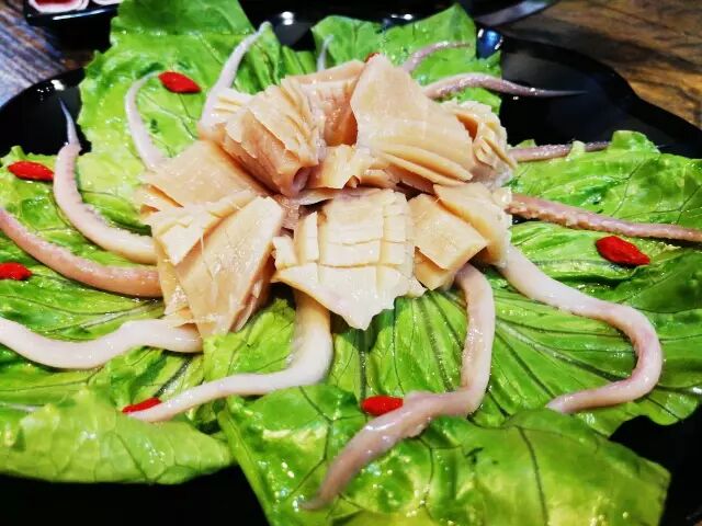 自认为聪明的鱿鱼