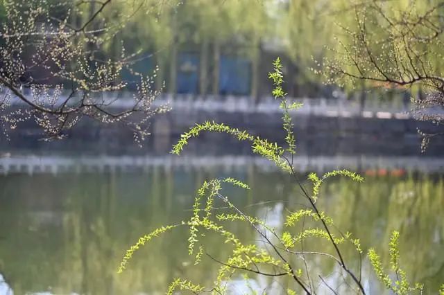 2024年04月30日 武汉天气