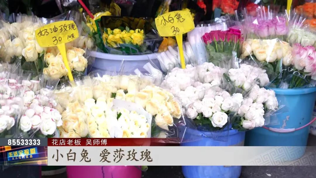 玫瑰花卡布奇诺的花语_卡布奇诺玫瑰鲜花_卡布奇诺玫瑰花多少钱一支