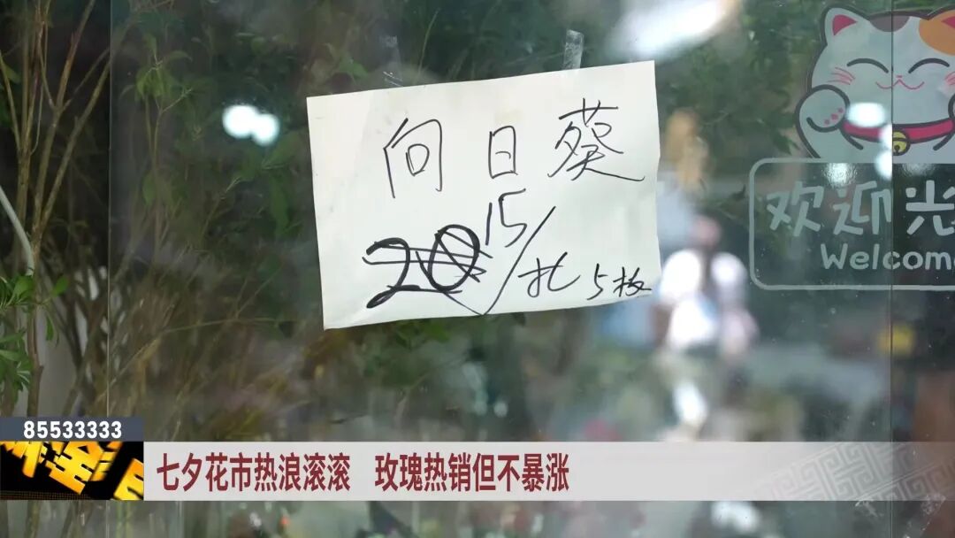 卡布奇诺玫瑰花多少钱一支_卡布奇诺玫瑰鲜花_玫瑰花卡布奇诺的花语