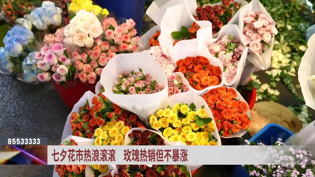 玫瑰花卡布奇诺的花语_卡布奇诺玫瑰花多少钱一支_卡布奇诺玫瑰鲜花