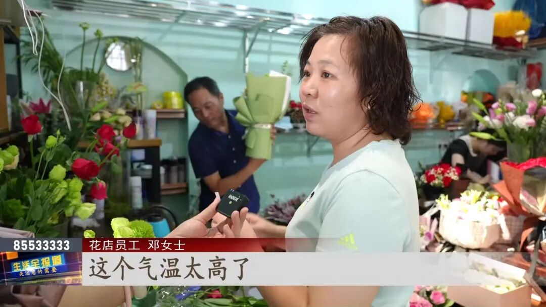 卡布奇诺玫瑰花多少钱一支_玫瑰花卡布奇诺的花语_卡布奇诺玫瑰鲜花