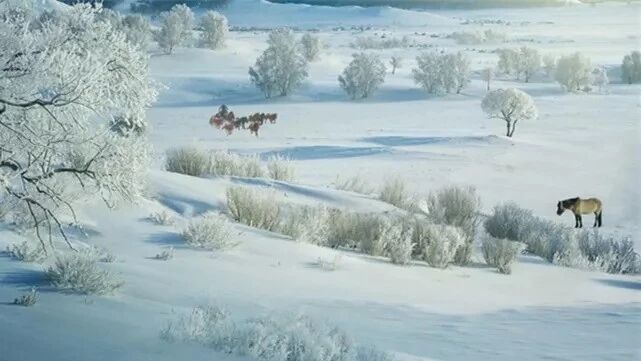 越优秀的人，越懂得让别人舒服