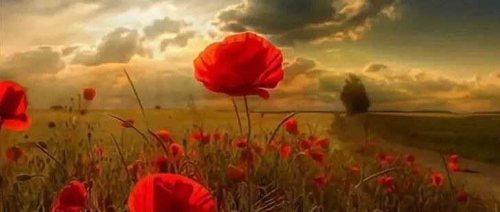 这种底层思维，正在毁掉你的人生！（深度好文）