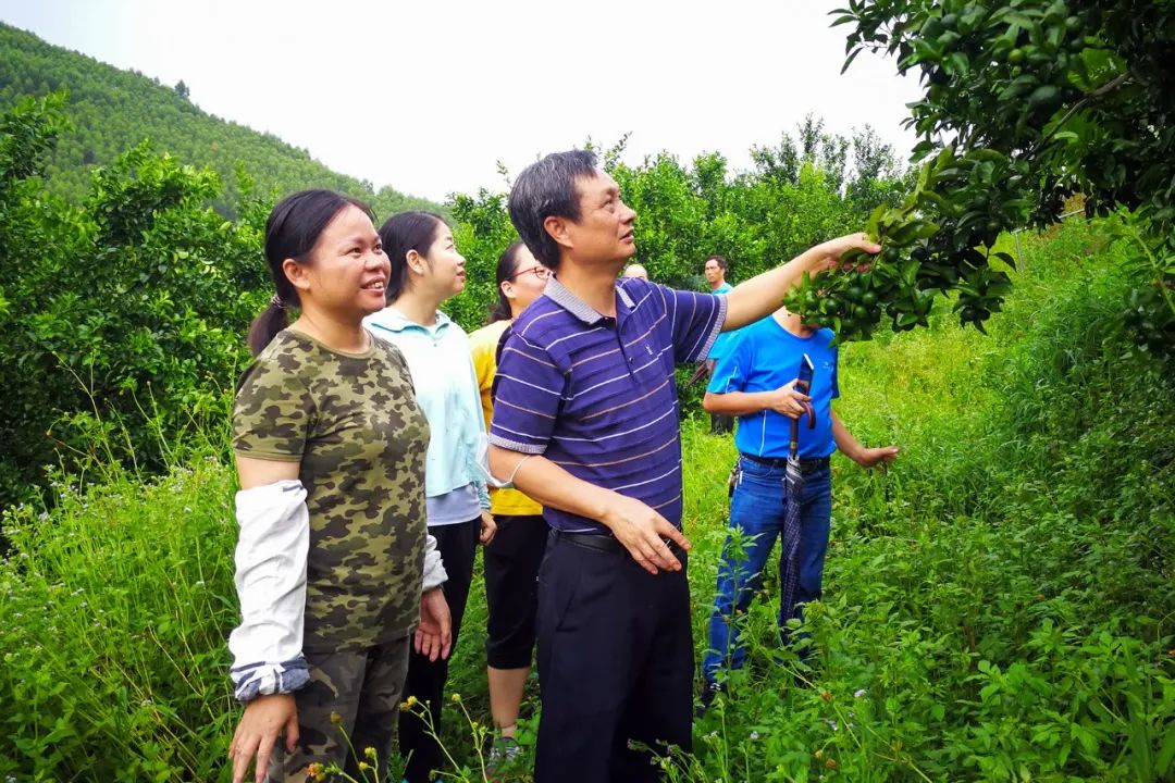 洪梅香：奔走于乡村的巾帼种植匠