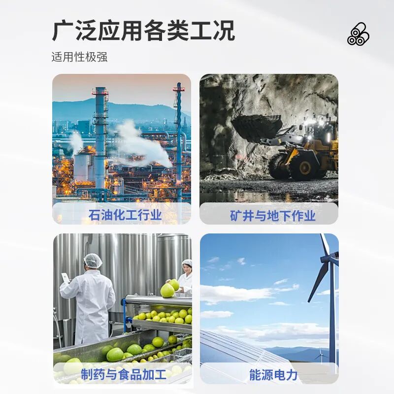 LFH71本質安全型溫濕度變送器