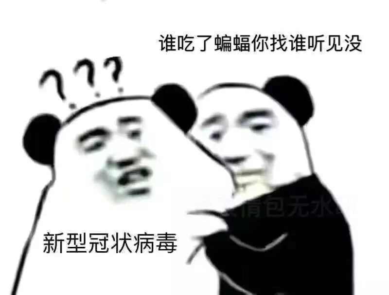 澳洲政府宣布航班停飞的那一刻，我才发现，疫情过后，我在悉尼最想见的是你...（组图） - 11