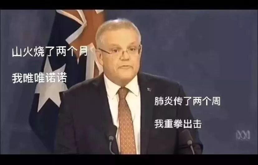 澳洲政府宣布航班停飞的那一刻，我才发现，疫情过后，我在悉尼最想见的是你...（组图） - 17