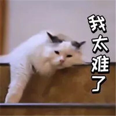 PR还是Citizen？官方给你7大理由入籍！然而网友不买账：没诚意！ - 3