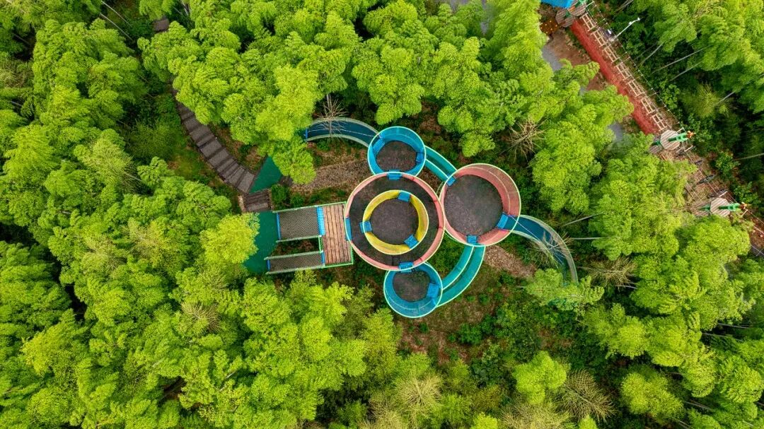 妙西长颈鹿庄园顺利拿到国家3a级旅游景区入场券