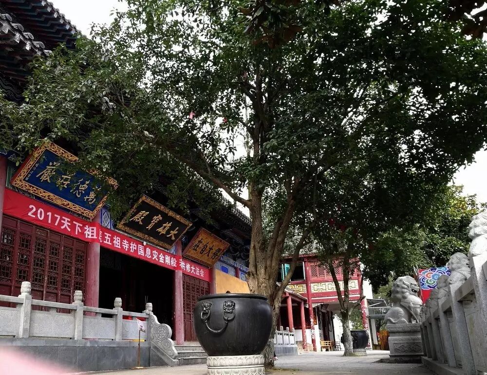 北京居士拜偈祖庭行