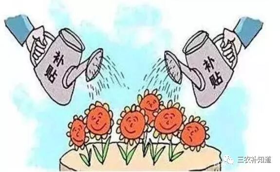 农村户口老年人补贴_国家给60岁以上老年人的补贴_农村老人补贴取钱方式