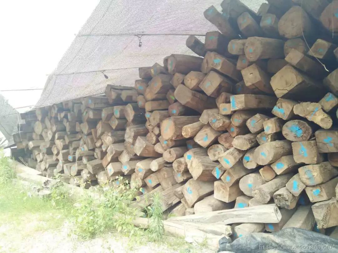 ​红木原材最新价格与行情走势周评（8月26-9月1）