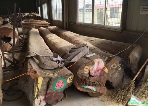 为什么越来越多人喜欢缅甸花梨？缅甸花梨有什么优点？