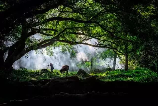 红木家具特有的香味对健康的作用，看看吧！