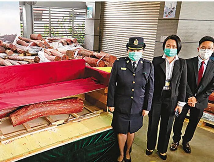 香港海关截获7.4吨紫檀木，犯罪分子利用家具进行走私掩护！