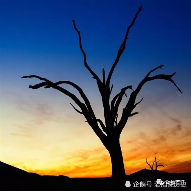 梦见流鼻血女人_梦到征兆流女性鼻血是什么意思_梦到自己流鼻血是什么征兆女性