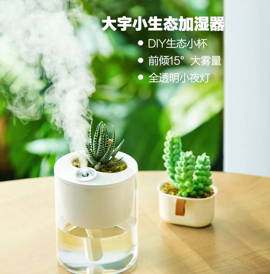 能种diy绿植的加湿器 好玩好看 静音加湿 打造桌面微雨林 小小包麻麻 微信公众号文章