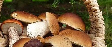 蔬菜到底咋吃？“321蔬菜模式”让糖友吃菜不迷茫