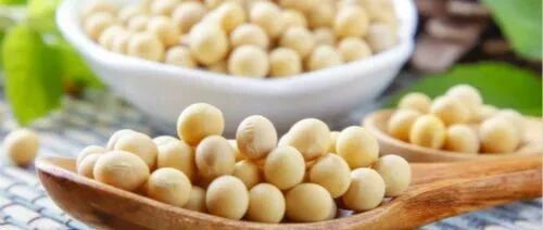 大豆类食品是糖尿病人的首选