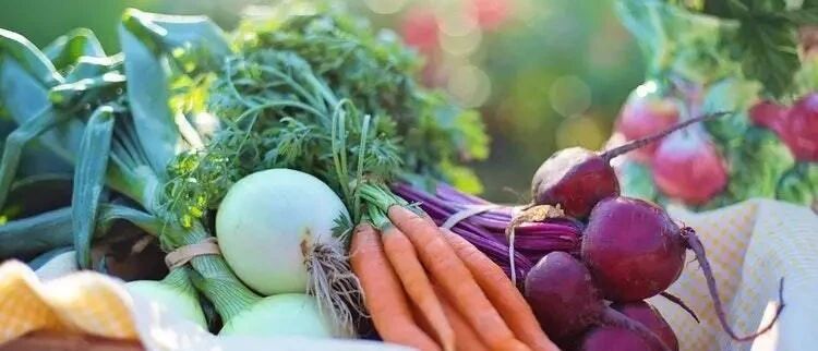 糖尿病需要掌握哪些饮食技巧？要避免哪些饮食误区？