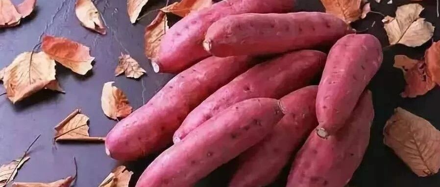 冬天烤红薯太香了，有糖尿病可以吃红薯吗？