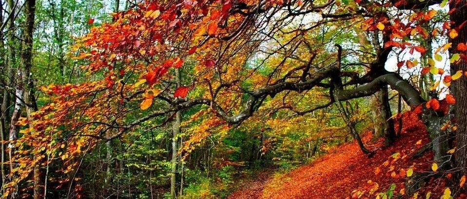 给糖友提个醒，秋冬季一定要防中风