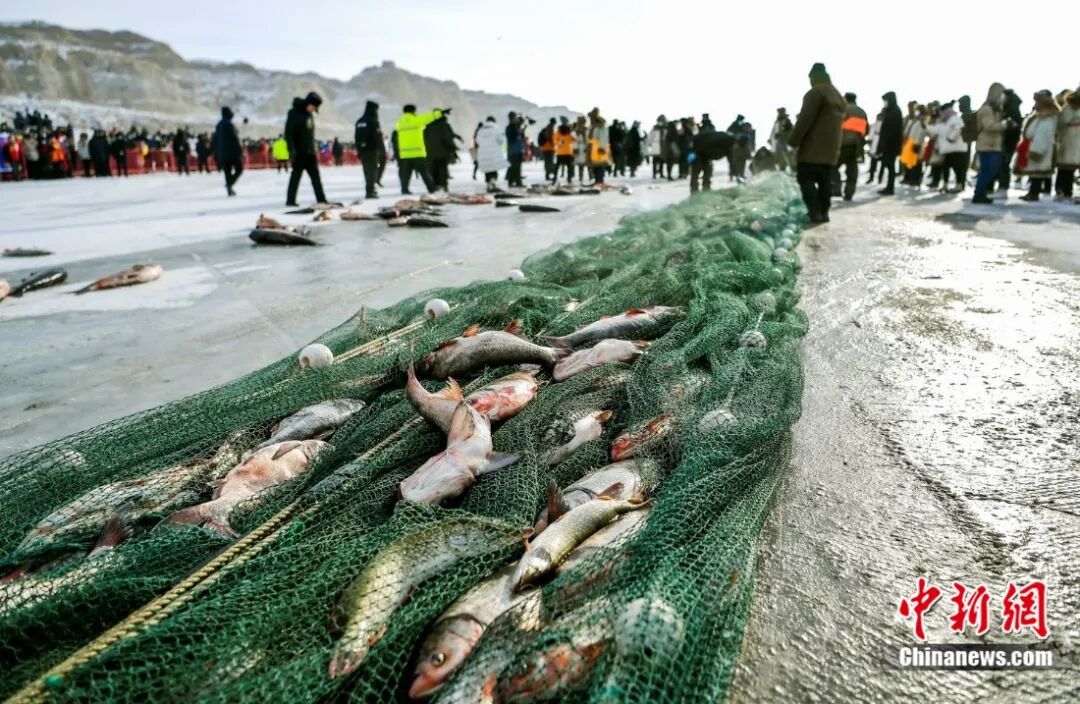 乌伦古湖冬捕。刘新 摄
