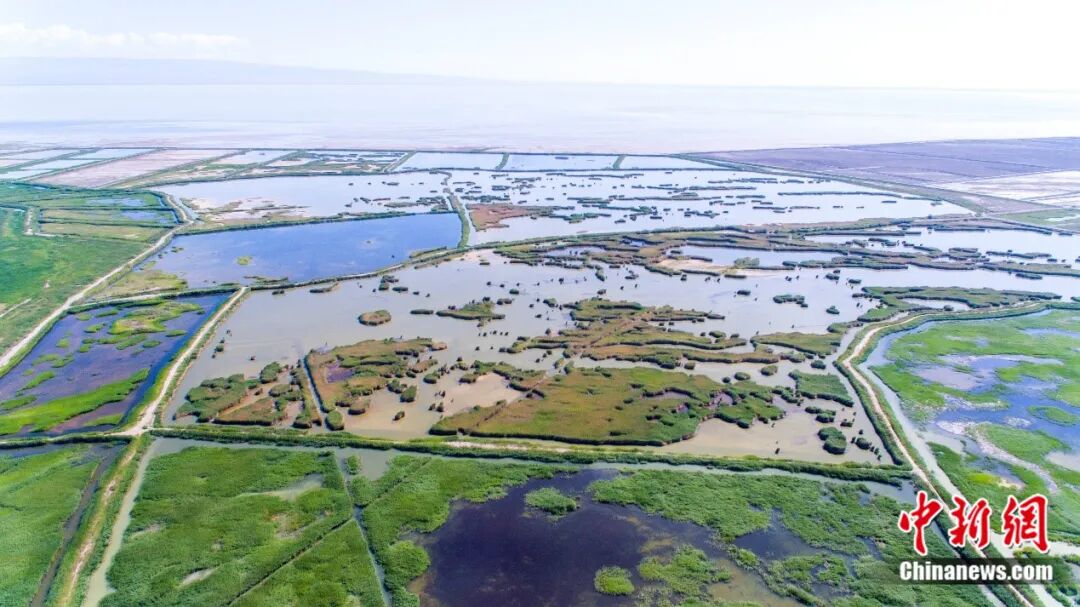 艾比湖湿地。博州融媒体中心供图